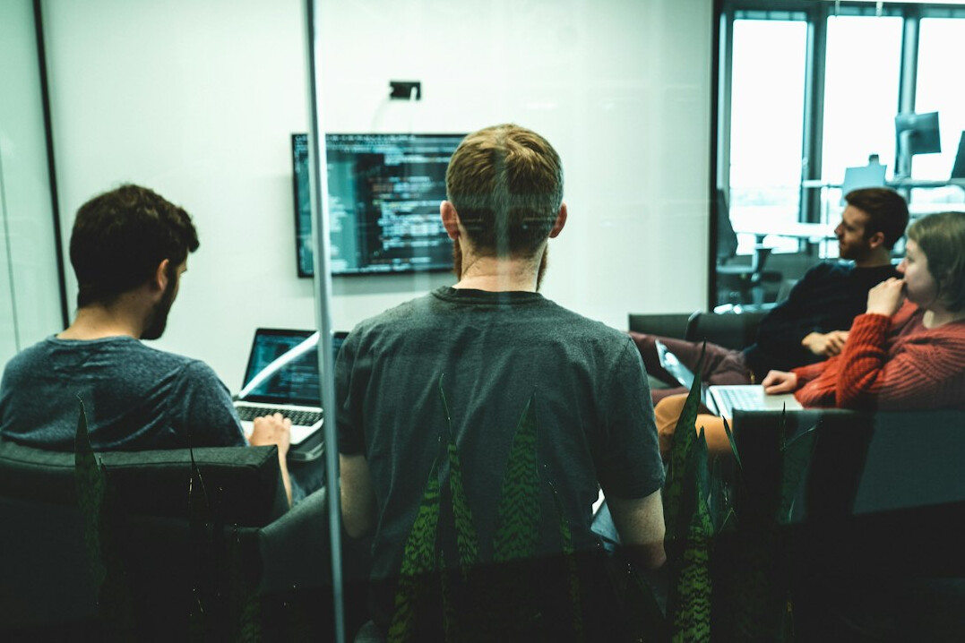 group of programmers collaborating